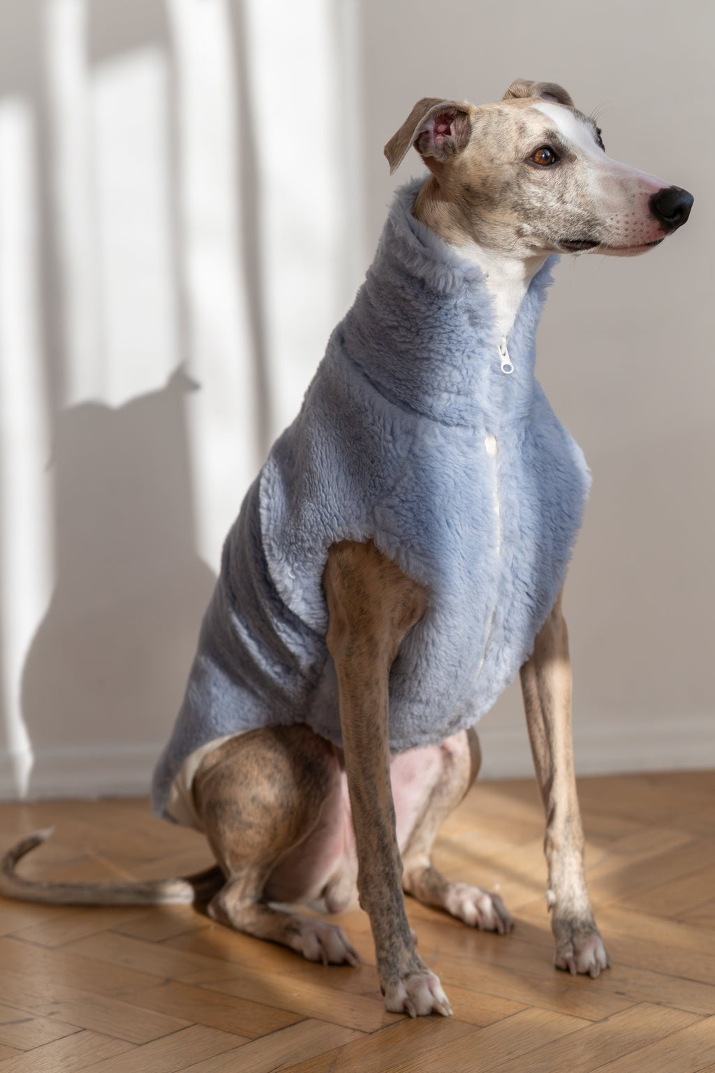 Woolen Dog Vest - Blue