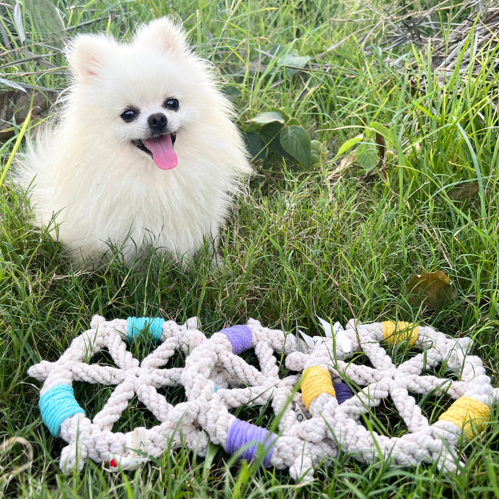 Color wheel Macrame Rope Pet Toy