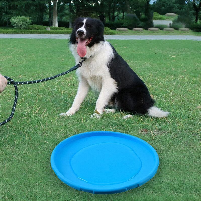Frisbee Toy for Dogs Outdoor Fetch Training Soft Rubber Pet Flying Disc 18cm